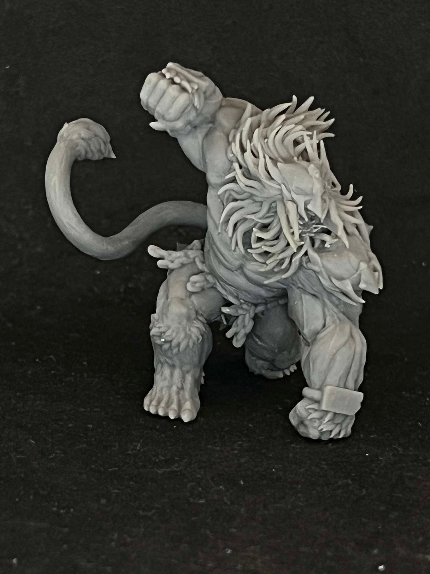 Lions of Habibi - Set of 2 | Trench Crusade | Papsikels Fantasy, Resin Miniature - Tabletop miniature - Fantasy Miniature - 32mm