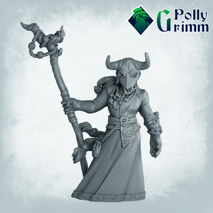 Alternate horned shaman fantasy miniature render