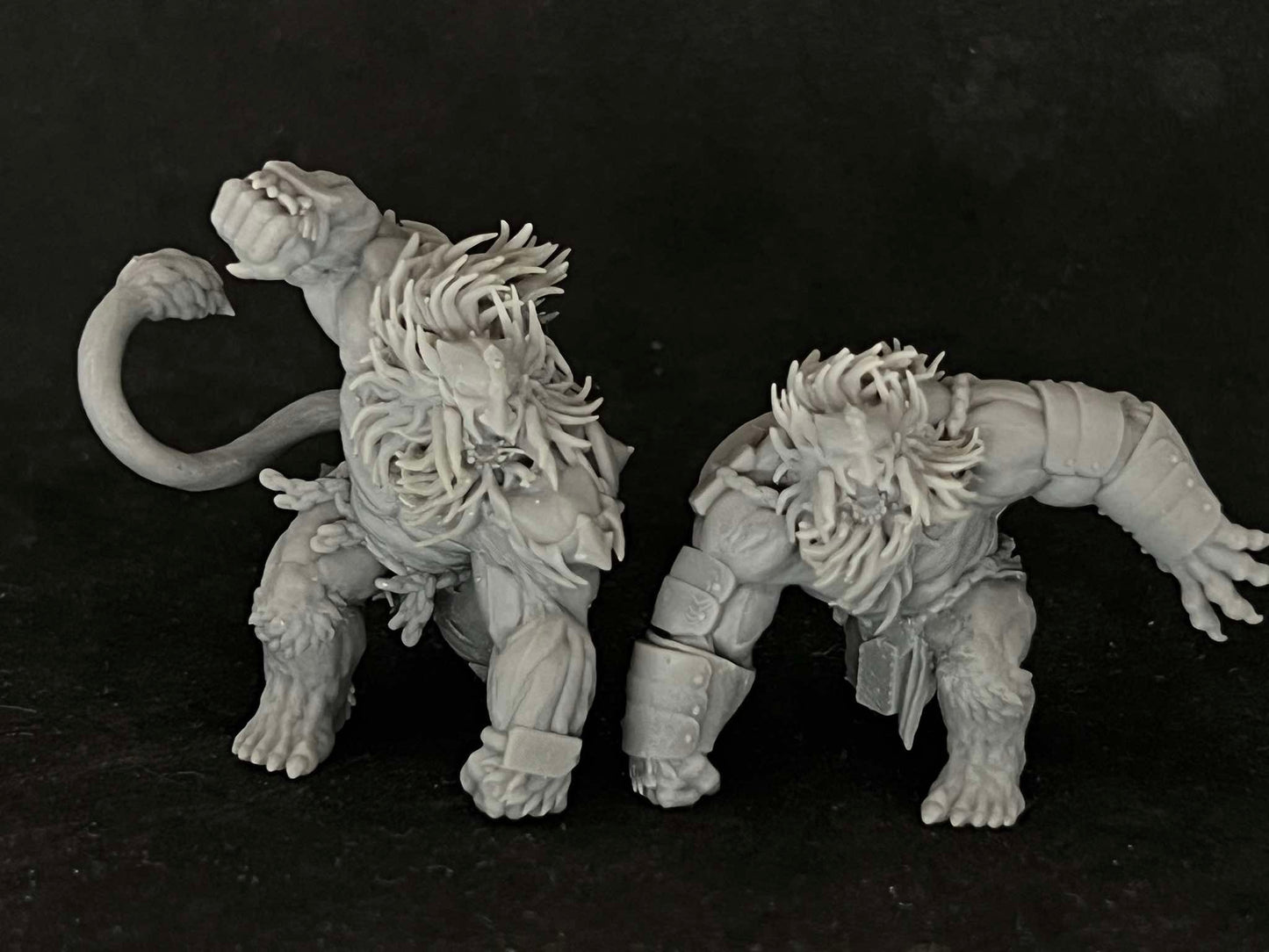 Lions of Habibi - Set of 2 | Trench Crusade | Papsikels Fantasy, Resin Miniature - Tabletop miniature - Fantasy Miniature - 32mm