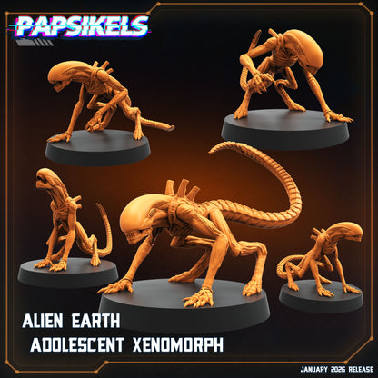 Alien Earth Adolescent Xenomorph Resin Miniature Set Sci Fi Horror Alien Creature 28mm 32mm Papsikels