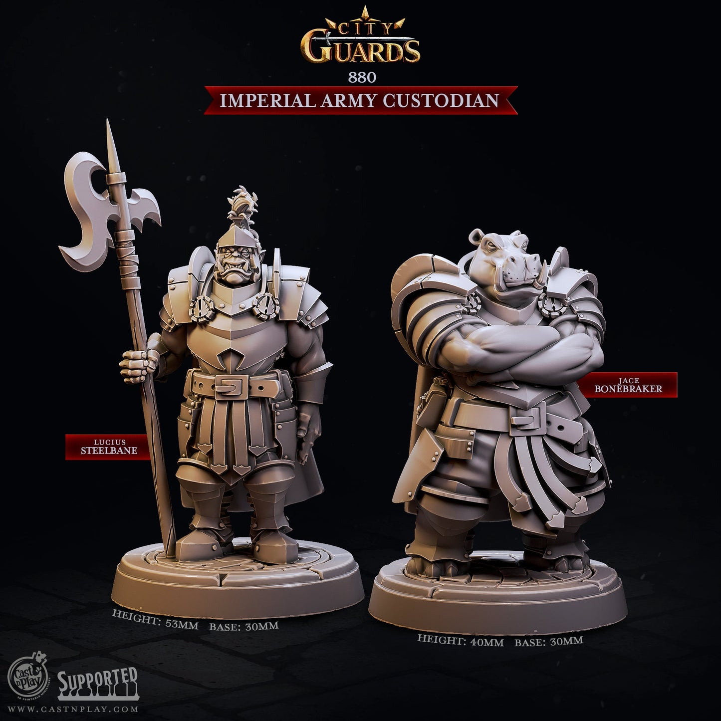 Imperial Army Custodian | City Guards| September 2024 | 32mm Scale | 30mm Base | CastNPlay | Dungeons and Dragons | TTRPG | Resin Miniatures