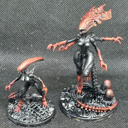 Xenomorph Gigerian Brood Succubus Miniatures: 32mm Papsikels Alien Creature for RPG and Tabletop Gaming